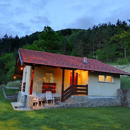 Vikend Kuca Maksimovic Villa Mataruska Banja Exterior foto