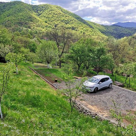 Vikend Kuca Maksimovic Villa Mataruska Banja Exterior foto