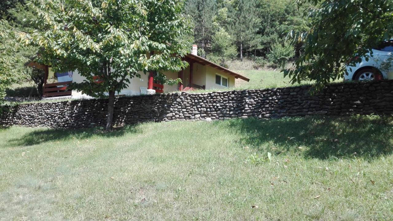Vikend Kuca Maksimovic Villa Mataruska Banja Exterior foto