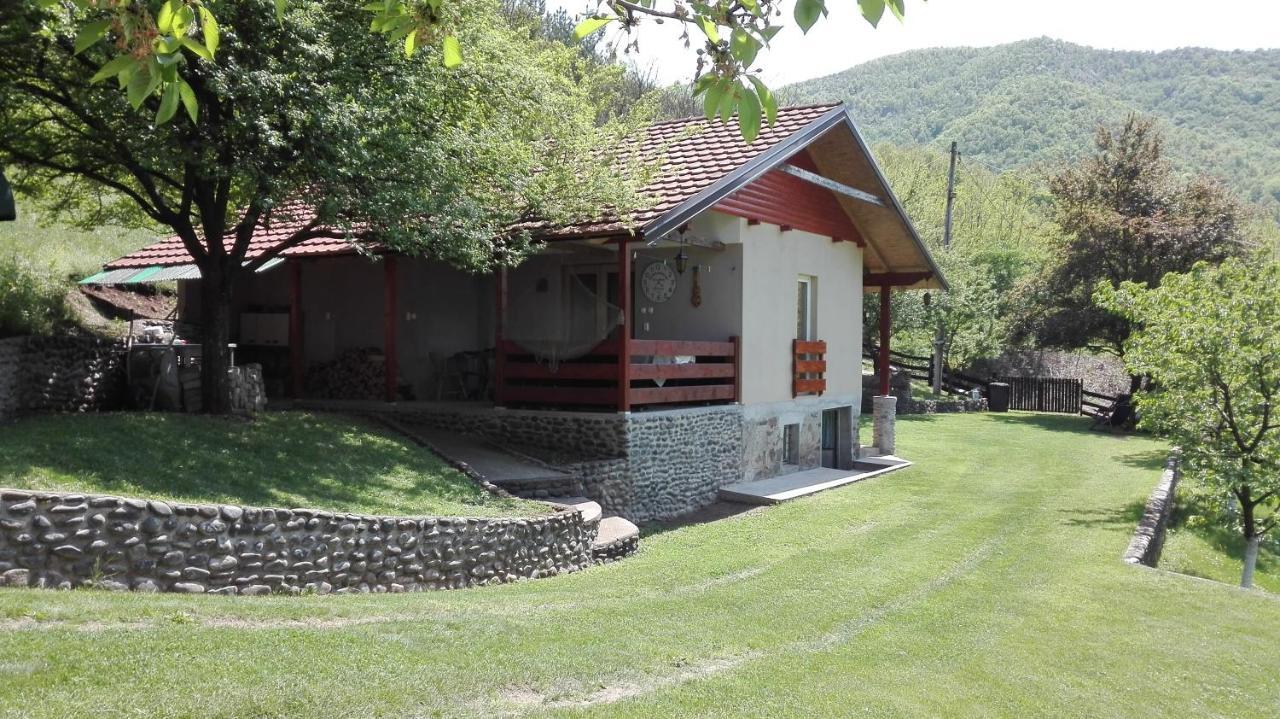 Vikend Kuca Maksimovic Villa Mataruska Banja Exterior foto