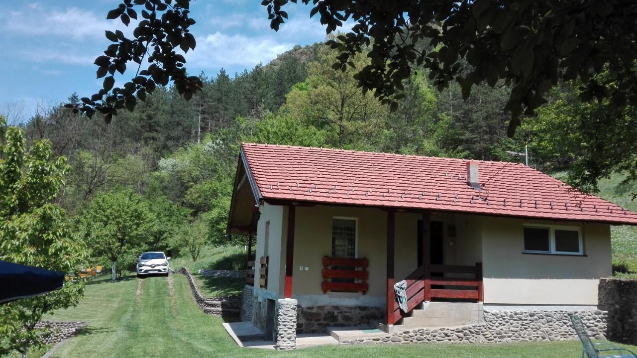 Vikend Kuca Maksimovic Villa Mataruska Banja Exterior foto