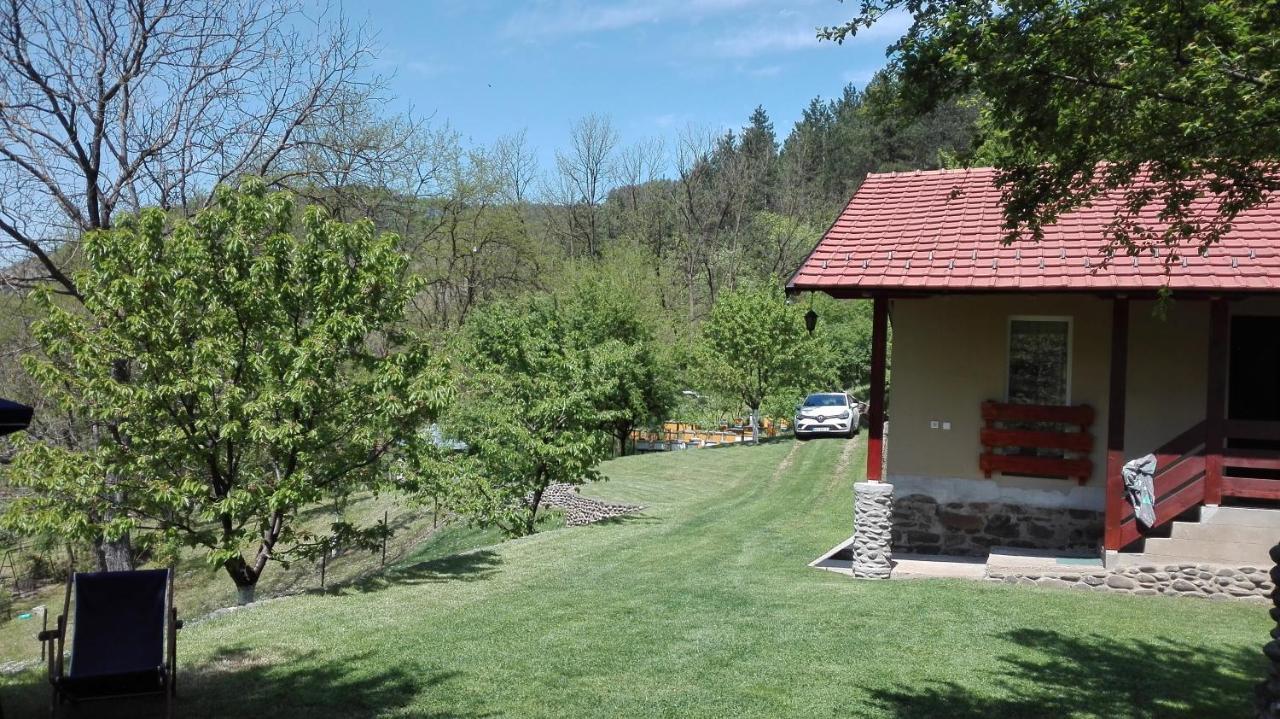 Vikend Kuca Maksimovic Villa Mataruska Banja Exterior foto