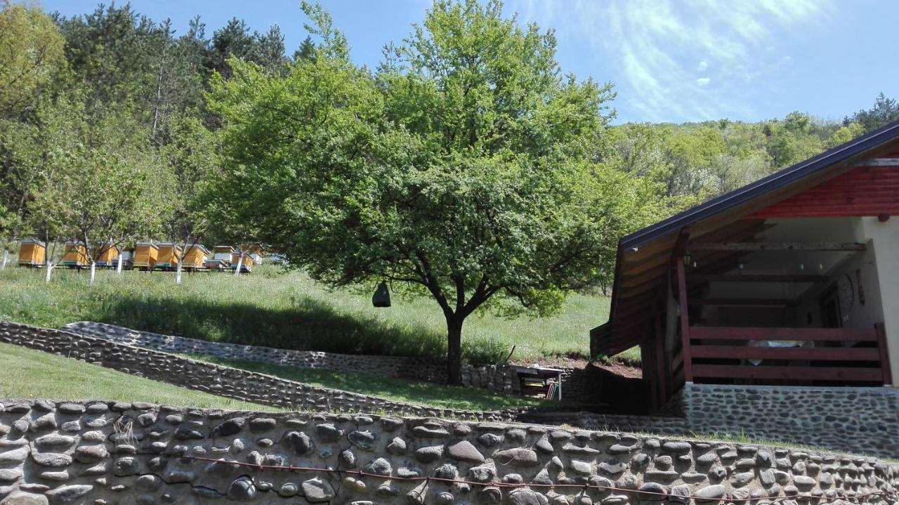 Vikend Kuca Maksimovic Villa Mataruska Banja Exterior foto