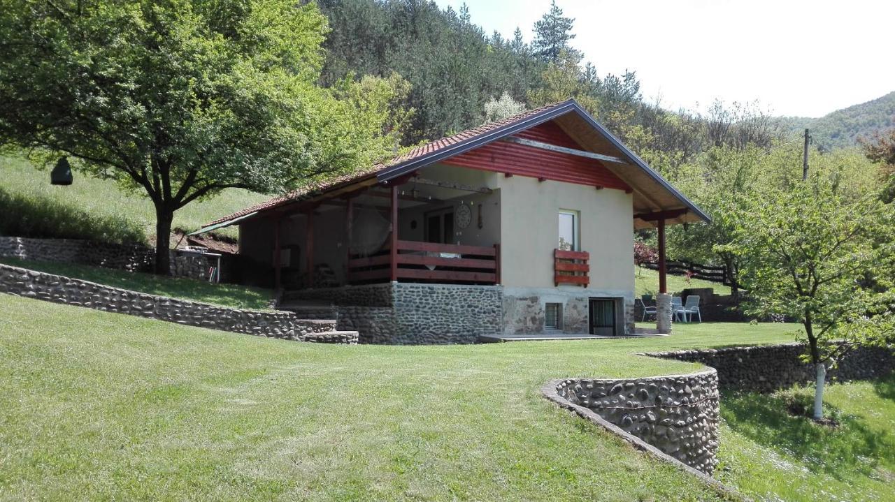 Vikend Kuca Maksimovic Villa Mataruska Banja Exterior foto