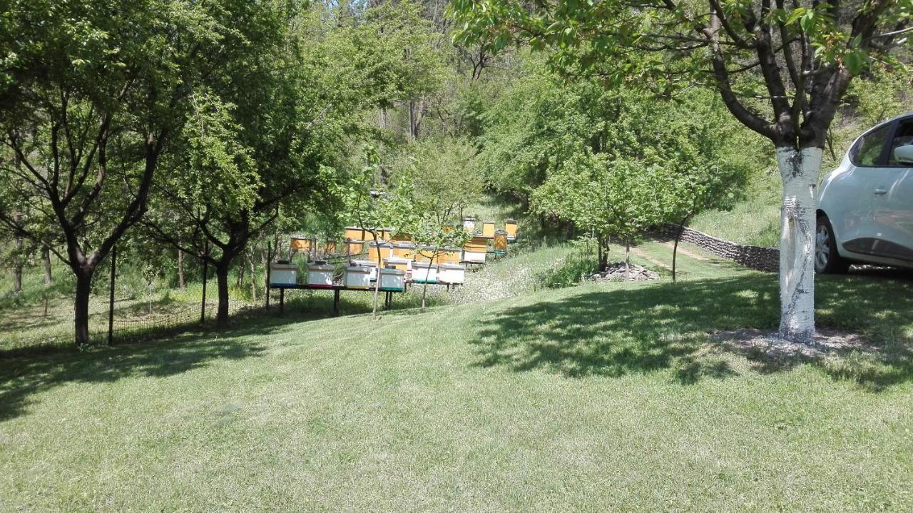 Vikend Kuca Maksimovic Villa Mataruska Banja Exterior foto