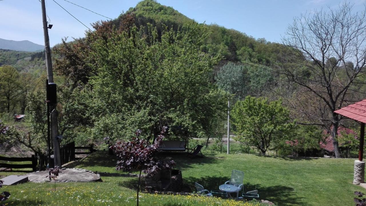 Vikend Kuca Maksimovic Villa Mataruska Banja Exterior foto