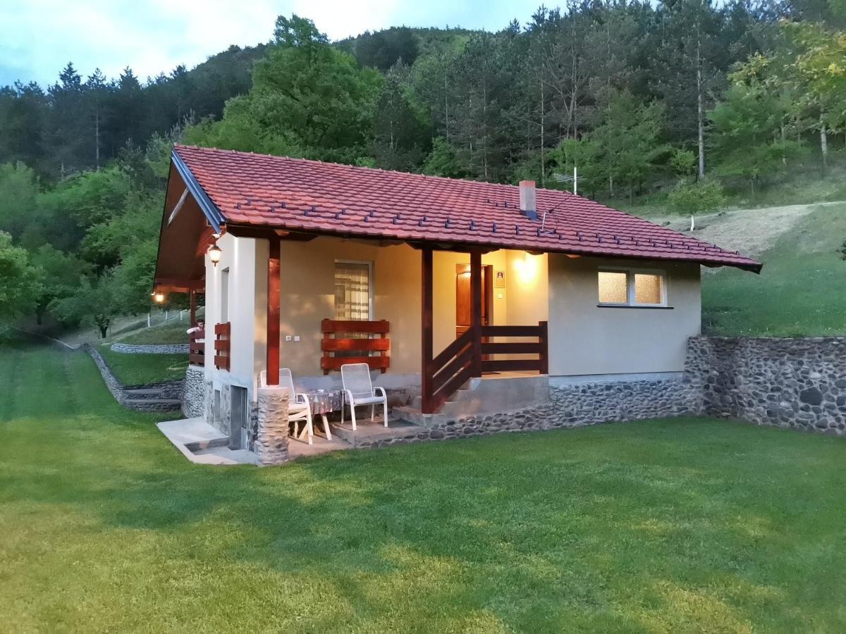 Vikend Kuca Maksimovic Villa Mataruska Banja Exterior foto