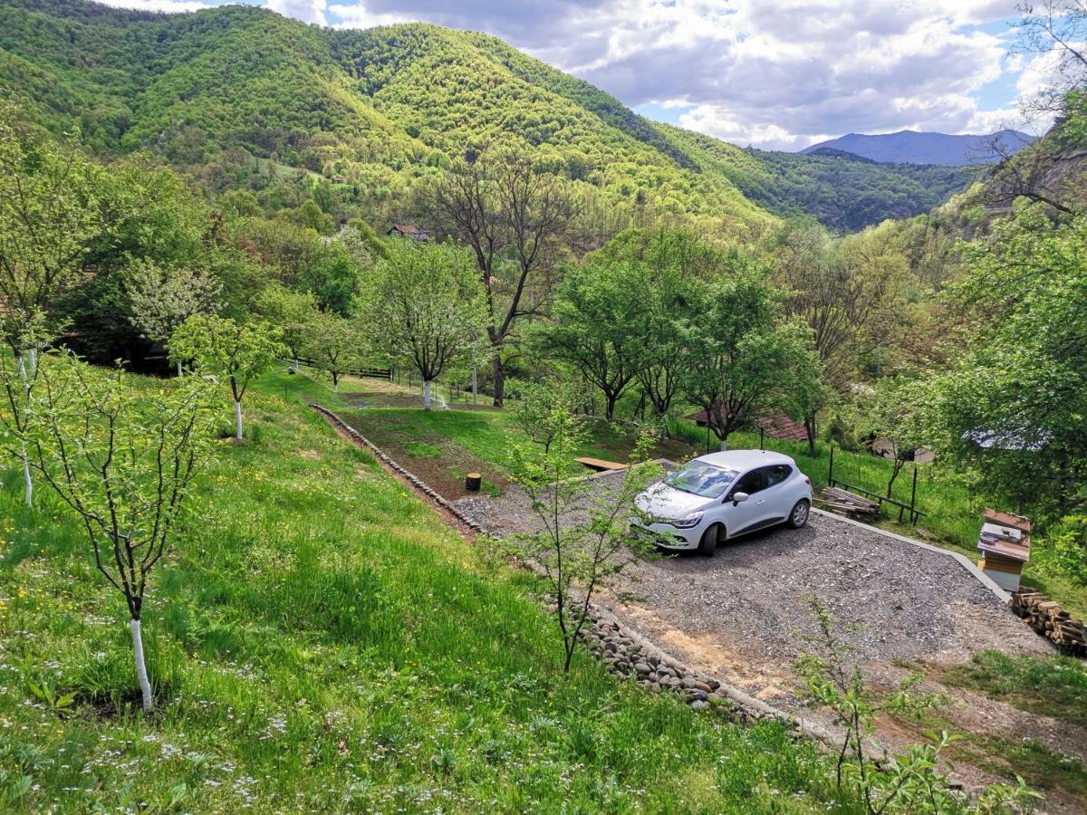 Vikend Kuca Maksimovic Villa Mataruska Banja Exterior foto