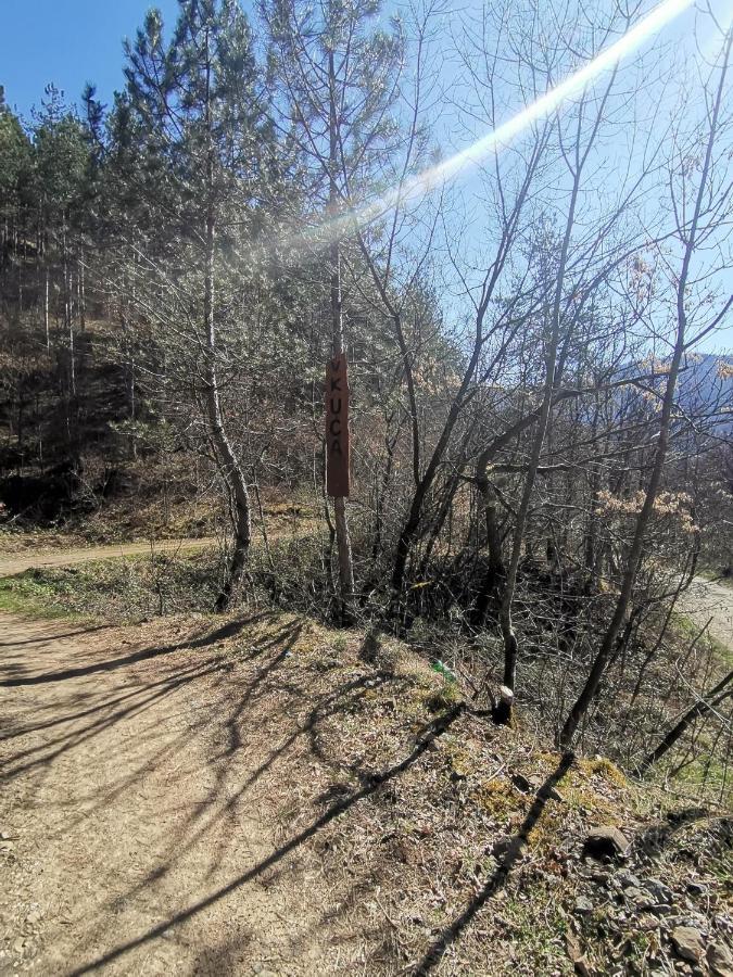 Vikend Kuca Maksimovic Villa Mataruska Banja Exterior foto